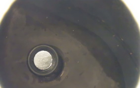 HARLEY FXLRST1920 2024