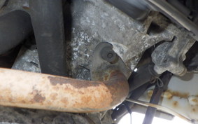 HONDA ZOOMER 2024 AF58