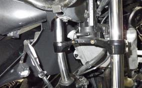 SUZUKI GSX-R125 2007 DL33B