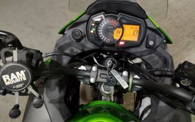 KAWASAKI  VERSYS X250 TOURER  LE250D