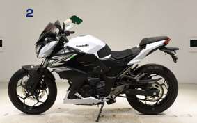 KAWASAKI Z250 2021 ER250C