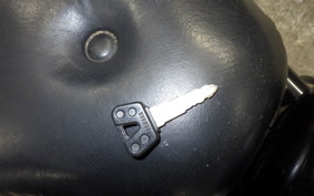 YAMAHA VIRAGO 250 2006 3DM