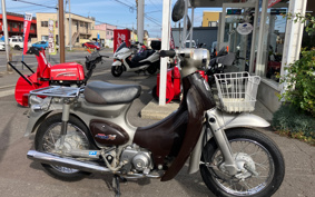 HONDA LITTLE CUB C50
