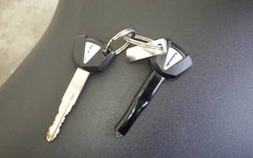 KAWASAKI ZX-25R ZX250E