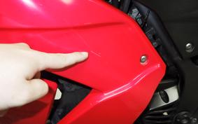 KAWASAKI NINJA 250R