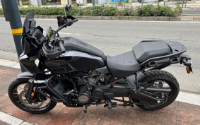 HARLEY  HARLEY  PAN  AMERICA 1250 SPECIAL  2024 ZES