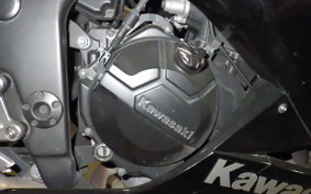 KAWASAKI NINJA 250 EX250L