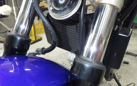 HONDA VTR 250 2019 MC33