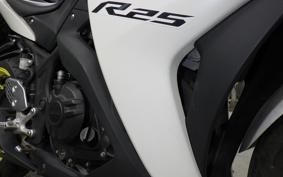 YAMAHA YZF-R25 RG43J
