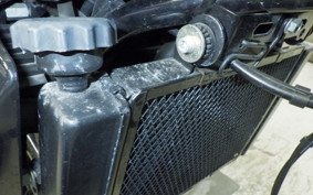 BENELLI レオンチーノ250 1996