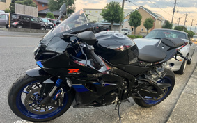 SUZUKI GSX-R1000R ABS 2019 DM11G