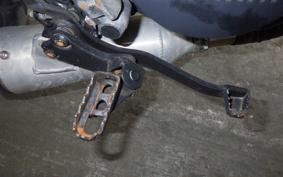 YAMAHA TW200 Gen.2 2024 DG07J