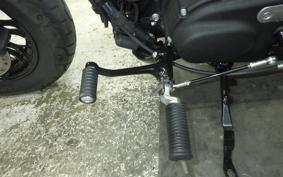 HARLEY XL1200X 2019