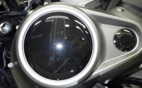 HARLEY RH975 2022