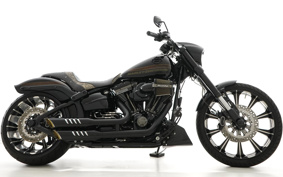 HARLEY FXSE CVO 2017 TG9