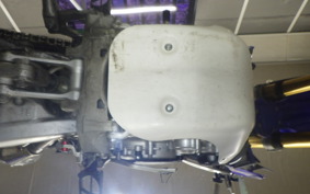 YAMAHA WR250R 2024 DG15J