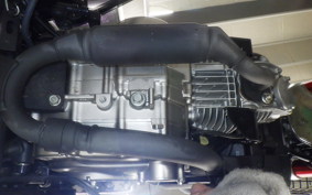 HONDA MONKEY 125 2025 JB03