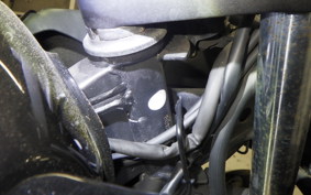 KAWASAKI NINJA 250R 2021 EX250K