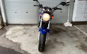 HONDA HORNET 250 MC31