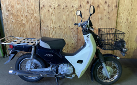 HONDA SUPER CUB110 JA10