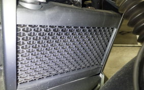 HONDA REBEL 250 S 2024 MC49