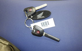 HONDA CRF1100L AFRICA TWIN 2019 SD10