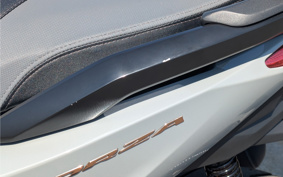 HONDA  FORZA 250 MF17