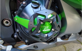 KAWASAKI NINJA 1000 2020 ZXT00W