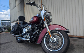 HARLEY FLSTC 2013 BW5