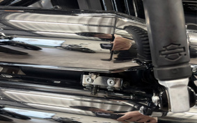 HARLEY FLFBS 2021 YGK