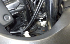 SUZUKI GSX250 R 2019