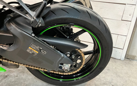 KAWASAKI NINJA ZX-6R 2020 ZX636G