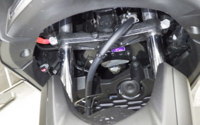 YAMAHA X-MAX 250 SGA8J