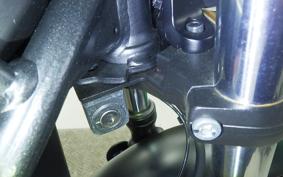 HONDA REBEL 250 E-Clutch 2025 MC49