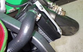 HONDA HORNET 250 MC31