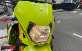 KAWASAKI D TRACKER 150 2021 LX150H