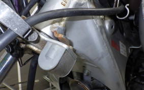 HONDA MAGNA 50 2023 AC13