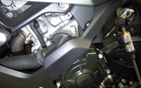 BMW S1000RR 2025