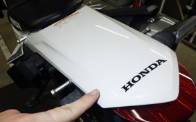 HONDA CRF250L 2024 MD47