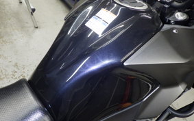 KAWASAKI VERSYS X250Aﾂｱﾗｰ