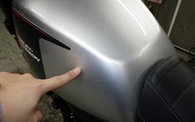 HARLEY X500 2024