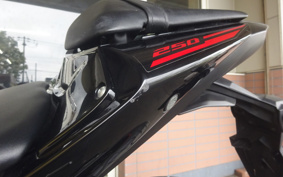 YAMAHA YZF-R25 RG10J