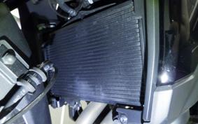 HONDA NX400 2024 NC65