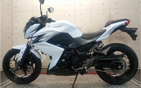 KAWASAKI Z250 ER250C