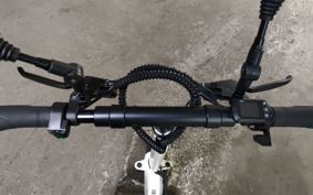 OTHER BLAZE EV SCOOTER ..