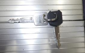 SUZUKI GOOSE 250 NJ46A
