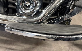 HARLEY FLFBS 2021 YGK