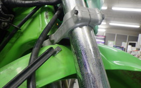 KAWASAKI KDX125 SR 2024 DX125A