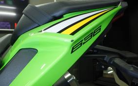 KAWASAKI NINJA ZX-6R A 2025 ZX636J