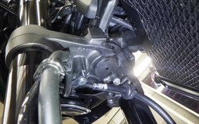 KAWASAKI Z900RS CAFE 2024 ZR900K